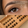 Brown Volume